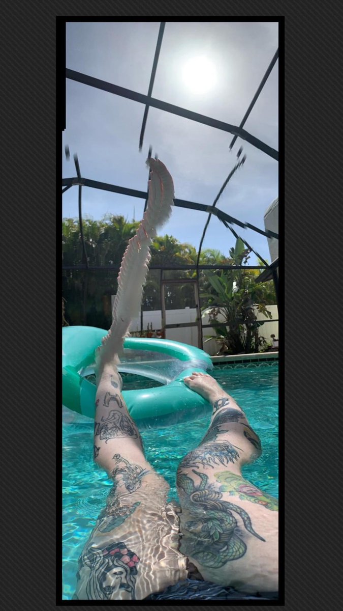 jennablur's tweet photo. Social distancing &amp; swimming https://t.co/KPHrMQtvAy