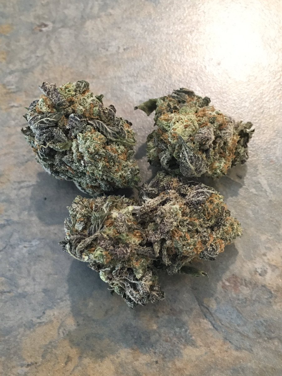FREEBANDSx's tweet photo. Smokin on some Ice Cream ๐ฐ ๐จ ๐ฅ Sticky, gassy, very potent just the way i like it ๐ #QuadsOnly https://t.co/LB2QLPle7V