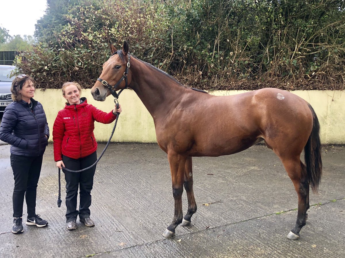 hernon_michael's tweet photo. SUSSEX GARDEN @Jessica_Racing purchased @Goffs1866 Sportsman She will contest @coolmorestud EBF Fillies Sprint @NaasRacecourse Saturday. Daughter of Acclamation @RathbarryStud showed courage & heart in her Winning Debut #ReadyToStepUp https://t.co/LlvFLmMxse