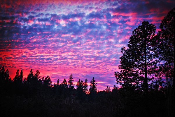 melanielankford's tweet photo. New artwork for sale! - "Cotton Candy Sunset" - https://t.co/4xYYoyj5xl @fineartamerica https://t.co/UehejGvQAF
