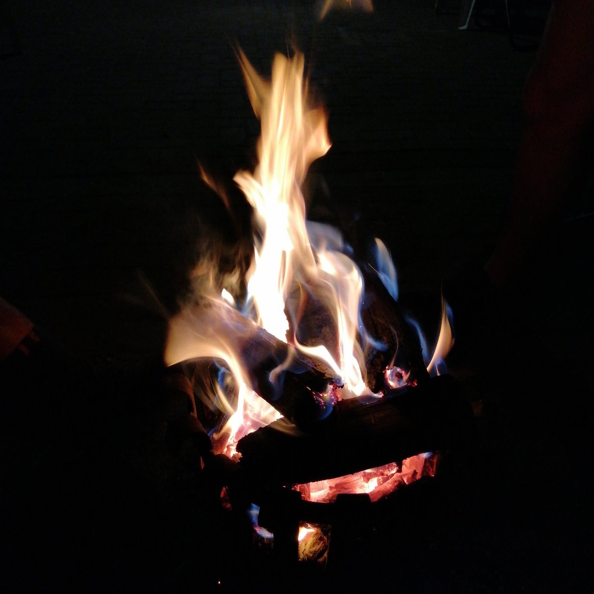 alrinateich's tweet photo. #backyardchats #konka #familytime https://t.co/5e3qLupSZZ