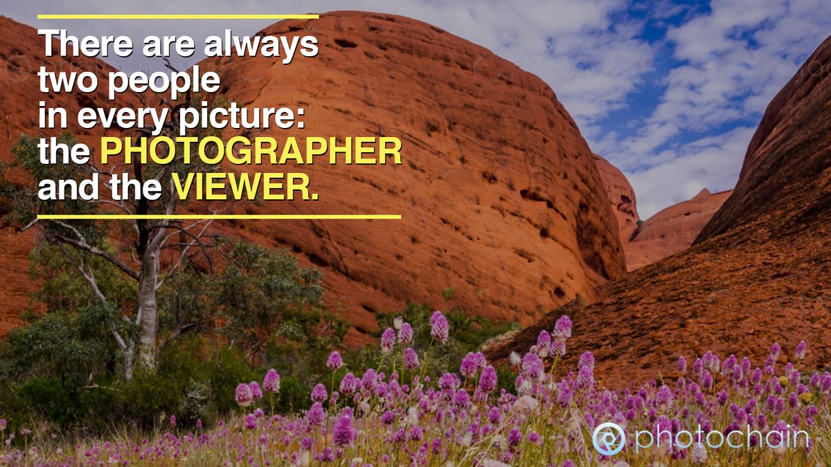 Photography is a way of expressing your creativity, your mind and feelings.
So, if you are a photographer, who wants to spread his art all over the web and get a fair price for the hard work, we have some great options in mind!
#stockphotography #stockphotos