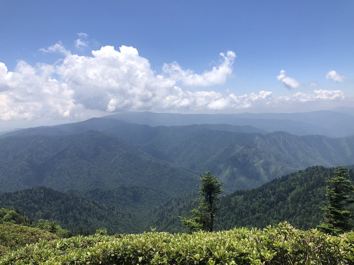 ConchaIsland's tweet photo. does anyone like hiking and mountains as much as me ?? 🥺🥺 https://t.co/acG3MmxLa3
