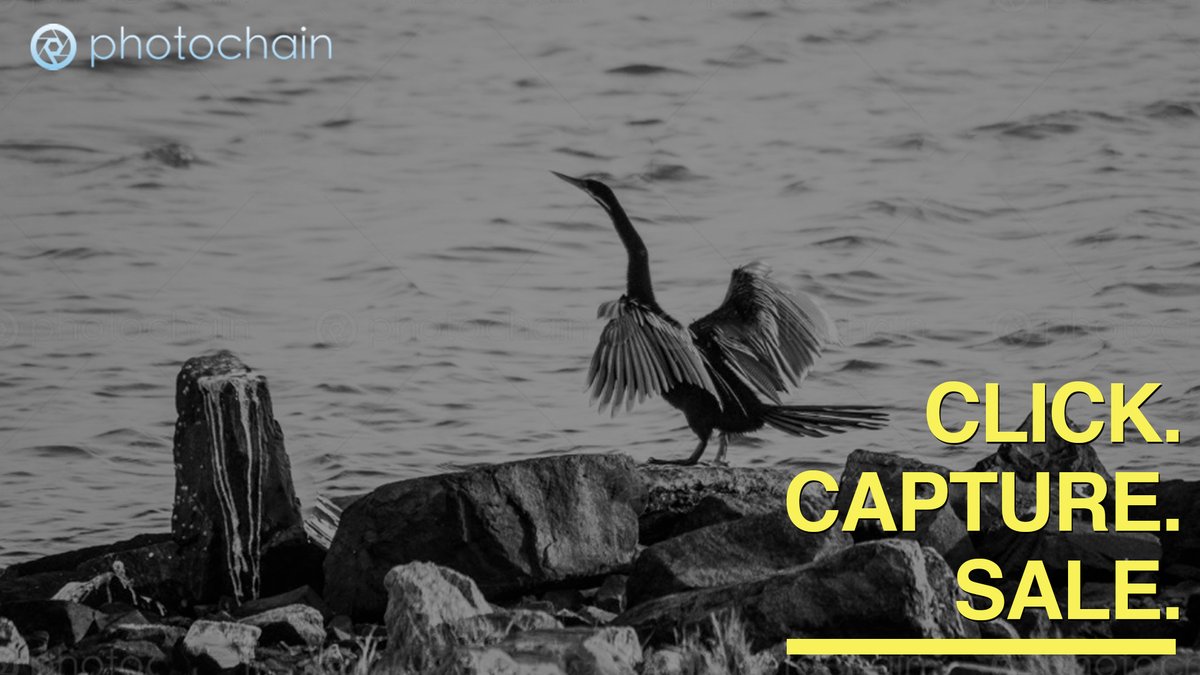 If you are a passionate photographer, we give you the opportunity to share your photos with the rest of the world and to let people use them, by your own rules. 
We believe in creating fair conditions for every photographer!
#stockphotography #stockphoto #professionalphotographer