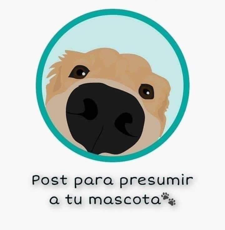 Marco Rey tweet media