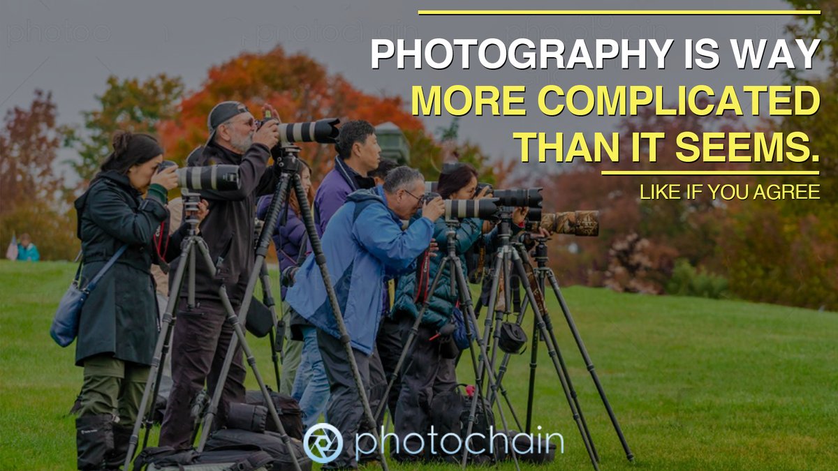 We want to give photographers full support in their career and that is why we have created Photochain, which is a marketplace where you can have all the rights you deserve. 
Reach out for more details!
#stockphotography #stockphotos #professionalphotographer #stockphoto