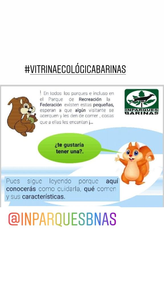 Inparquesbarin1's tweet photo. #03jul Desde Inparques Barinas invitamos a ser partícipe de nuestra vitrina ecológica para que conozcas la importancia del cuidado ambiental de nuestras especies y espacios ecosocialistas. https://t.co/mADiWz24x5