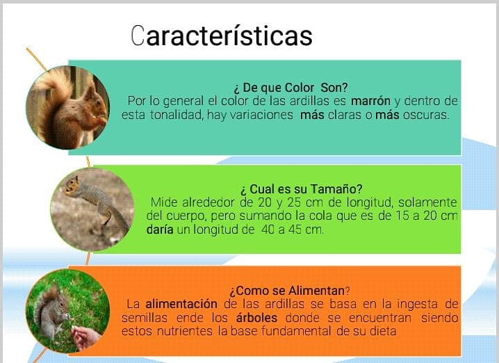 Inparquesbarin1's tweet photo. #03jul Desde Inparques Barinas invitamos a ser partícipe de nuestra vitrina ecológica para que conozcas la importancia del cuidado ambiental de nuestras especies y espacios ecosocialistas. https://t.co/mADiWz24x5