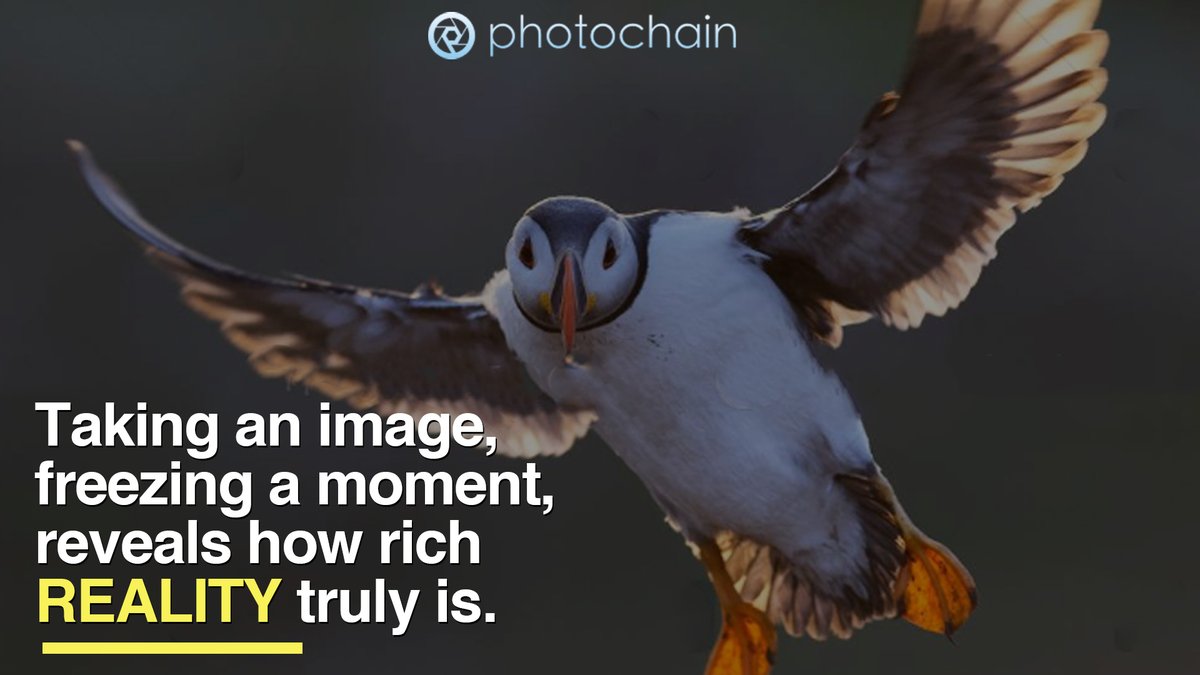 If you are a passionate photographer, now is the time to show your work to the world and make money out of it! We have built a platform where every photographer can set his own price and conditions, because protecting your creative work is the most important thing!