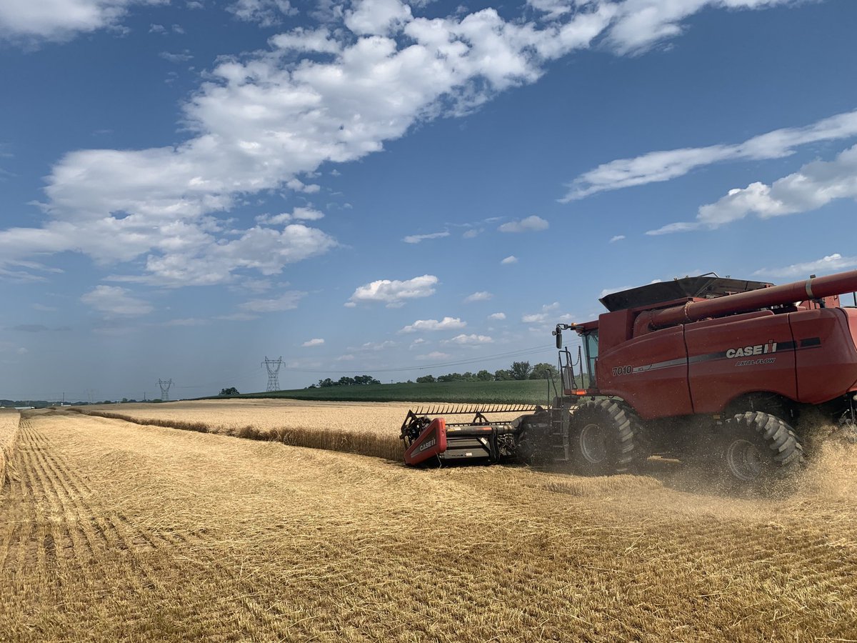 Lanc_ext_Jeff's tweet photo. Just certified a 133 bu/a #wheat yield in Mt Joy, PA. Congrats to a Daryl Martin!  a Field of Chemgro seed wheat. https://t.co/OPlugOewoe