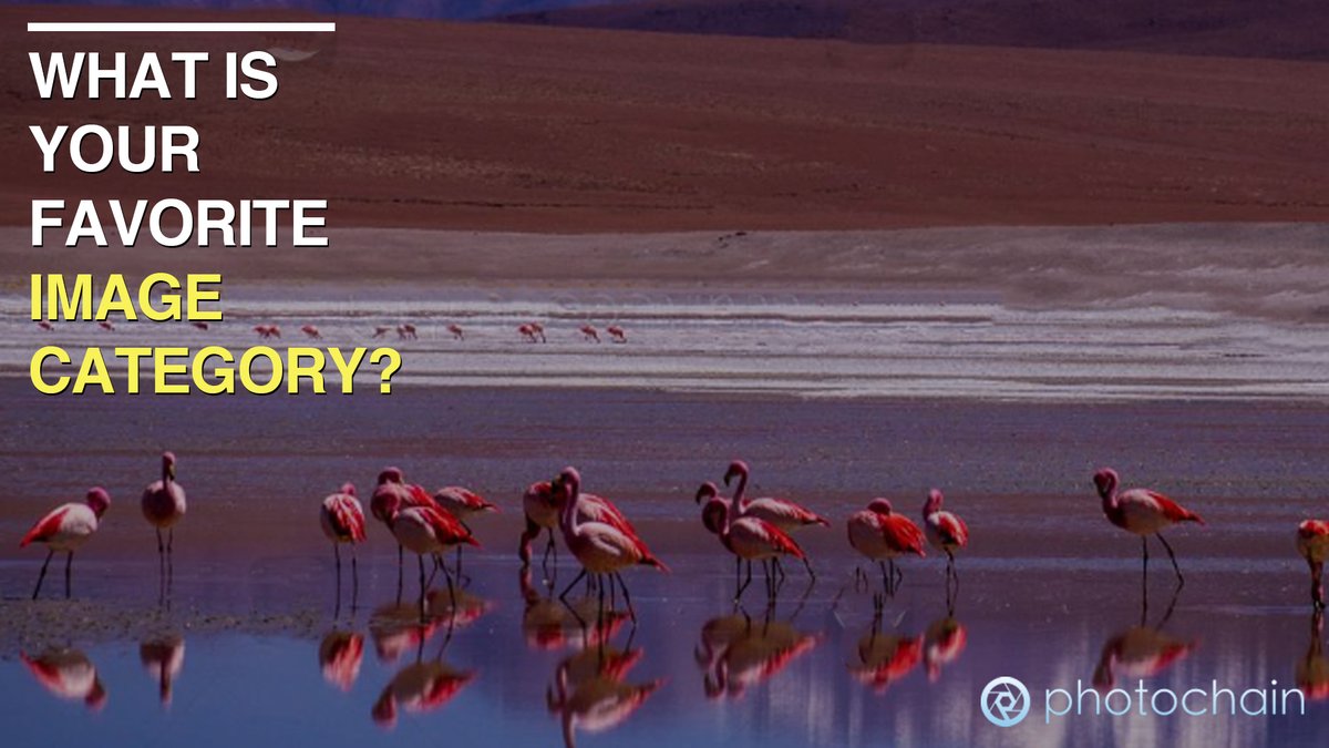 What is your favorite theme when it comes to taking photos?
Do you love the serenity of the mountains, the energy of the people, or the amazing taste of different food?
Share your passion in comments!
#stockphotography #stockphotos #professionalphotographer #stockphoto