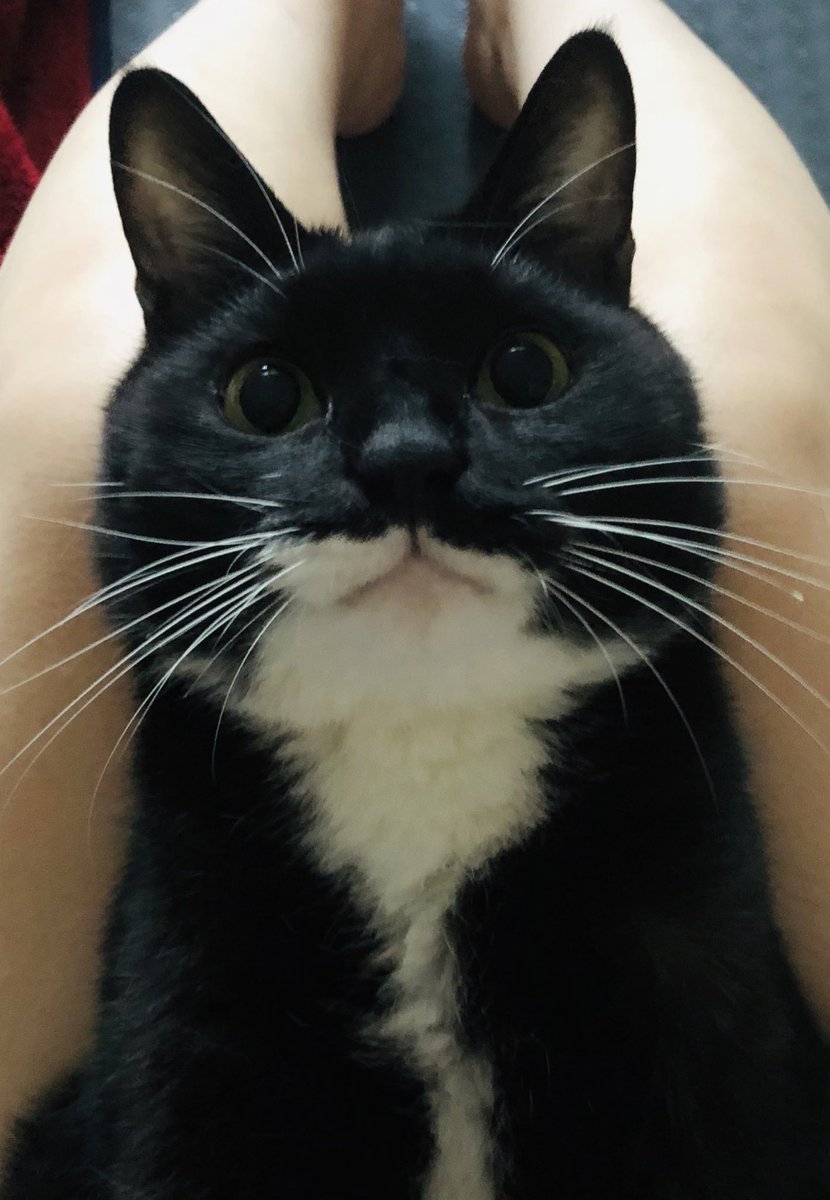 귀여운 임자 보고 가세요