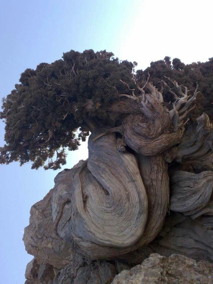 majronyh's tweet photo. Keşke sizi anlayabilsem https://t.co/1DqSsDyRZt