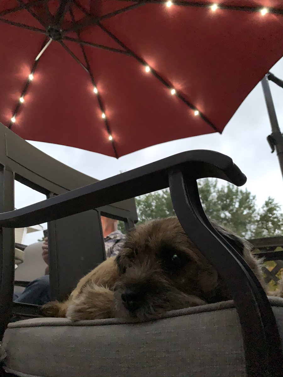 Hubble_BTerrier's tweet photo. My folks and I went on a quiet walk this evening in Shubie Park in remembrance of Sir Seb. 7.23 km put us over our #BTPRelay goal but there was no celebration. Maybe tomorrow. #SirSebSendOff #BTPosse https://t.co/IXWopkyBvE