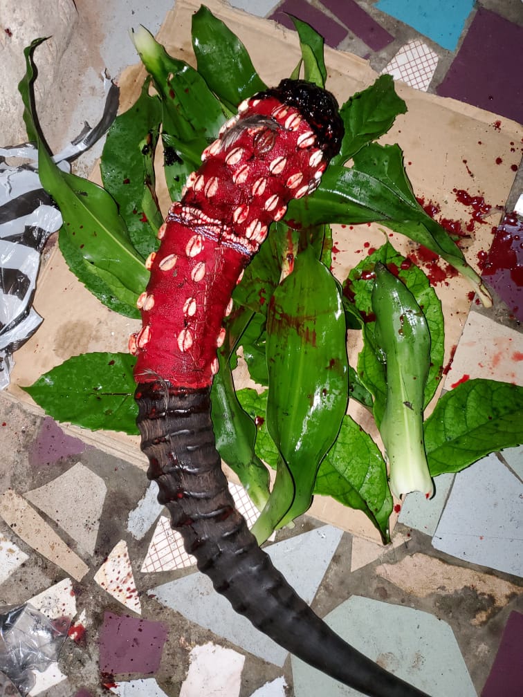 LE PLUS GRAND MAITRE MARABOUT SODOGANDJI PUISSANT MEDIUM MARABOUT SERIEUX DU MONDE PORTEFEUILLE MAGIQUE VALISE MAGIQUE CANARI MAGIQUE CALEBASSE MAGIQUE RETOUR D'AFFECTION RAPIDE SAVON DE CHANCE 
 Whatsapp: +229 94401564