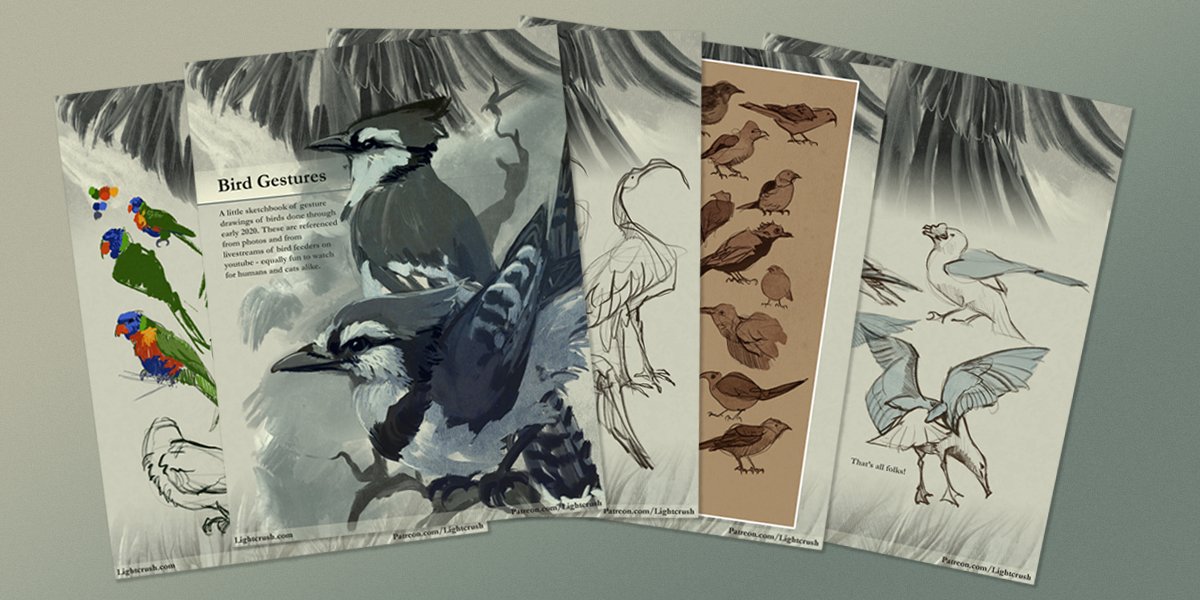 Just a little preview of the things I send out to Patreon supporters each month! :) This month I did a little digital sketchbook of bird gesture drawings. 