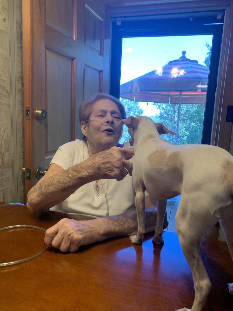 veronica_llott's tweet photo. Stoney and my grandma make me so happy 🥰☀️ https://t.co/fQ0mQfKPDR