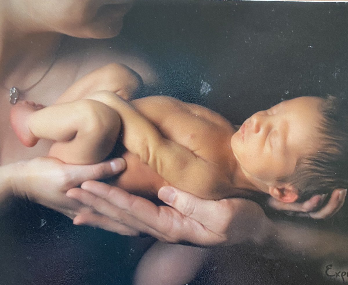 AuthorDelaneyW's tweet photo. I cannot believe this little bug is a teenager now 😭😭😭 We we’re cleaning the basement and found the little photo books from his first years. He’s 4 wks in the first two and then 1 yr in the second two. #Baby #TinyBug https://t.co/5xHzUVQxE5