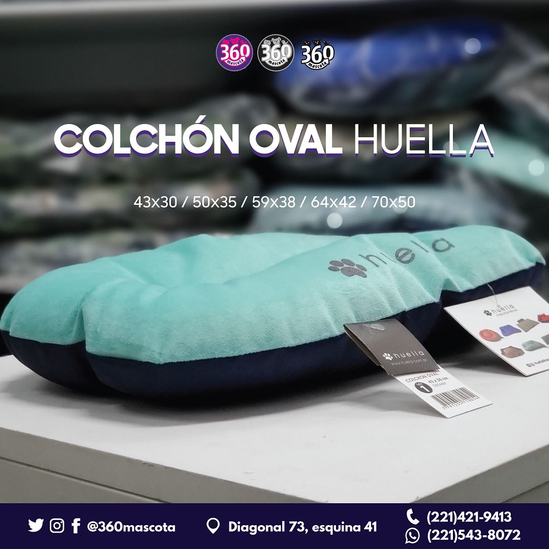 360Mascota's tweet photo. 🐶🛏 ¡Un buen descanso hace la diferencia!

👉🏼 El #ColchónOval posee una base impermeable y está confeccionado en pana, con tratamiento antimancha y lavable. Además, el interior es de vellón siliconado de primera calidad. https://t.co/xtcfdxgnEO