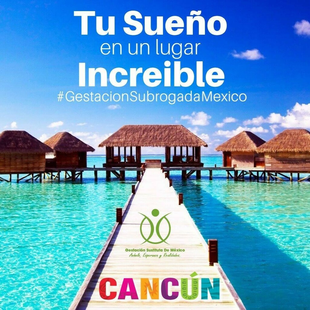 GestacionMexico's tweet photo. Tu tienes la opción de llevar tu proceso de #gestacionsubrogada en #cancun Mientras inicias tu proceso puedes relajarte en este hermoso lugar con clima tropical.
#surrogacyinmexico #Cancun #gestacionsustituta ##gestacionsustitutainternacional #Surro… https://t.co/YGSngbeSU5 https://t.co/uNV6qSgkEW