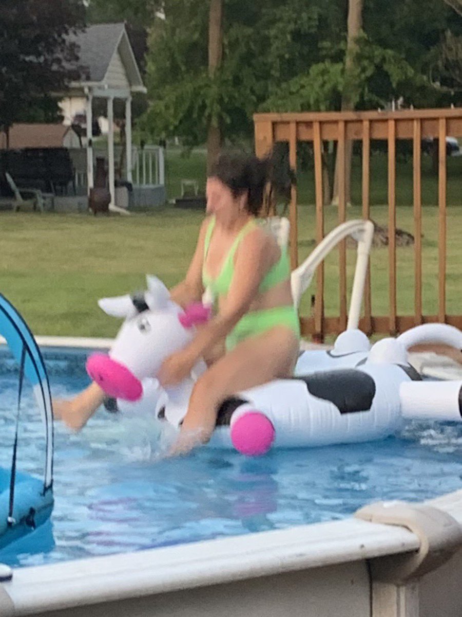 pletchlives's tweet photo. Beta fish attacks a cow @GraceLeslie14 @AntMiller05 @havrilla_3 @ben_slanker14 @sjlcards https://t.co/RJmj0ZPdFe