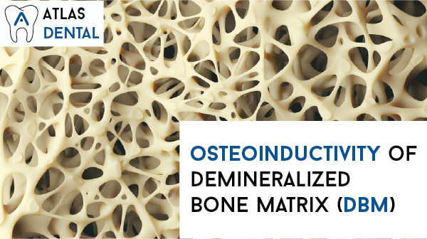 AtlasDentalUSA's tweet photo. Check out our latest blog post on demineralized #bone and its #osteoinductive properties

"demineralization of #bone exposes the bone morphogenetic proteins" #BMPs

#Dental #dentalcare #DentalFacts #dentistry  #BoneMorphogeneticProteins #Dentalgrafting 

https://t.co/XDE1c4ydJP https://t.co/lzWU1lgvqj