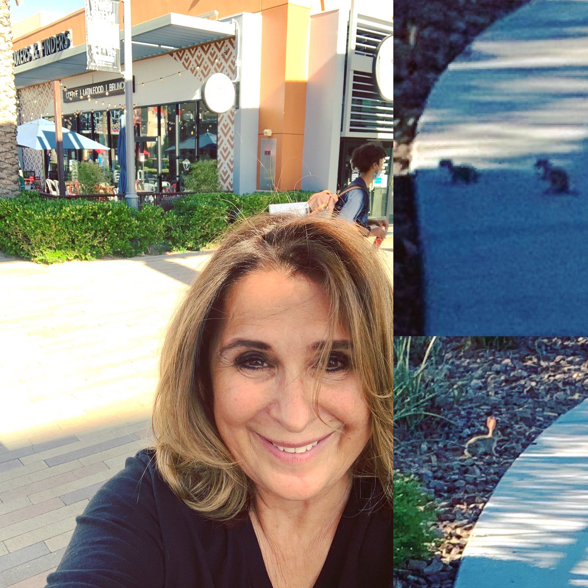 VictoriaDseaman's tweet photo. Great 5 mile bike ride with #probikers John and I to & @MakersLV and PosarΓ© Salon @DTSummerlin The great thing about riding bikes is you see our great kangaroo desert rats, cottontail bunny rabbits and our desert lizards. https://t.co/exRJGoyHf5