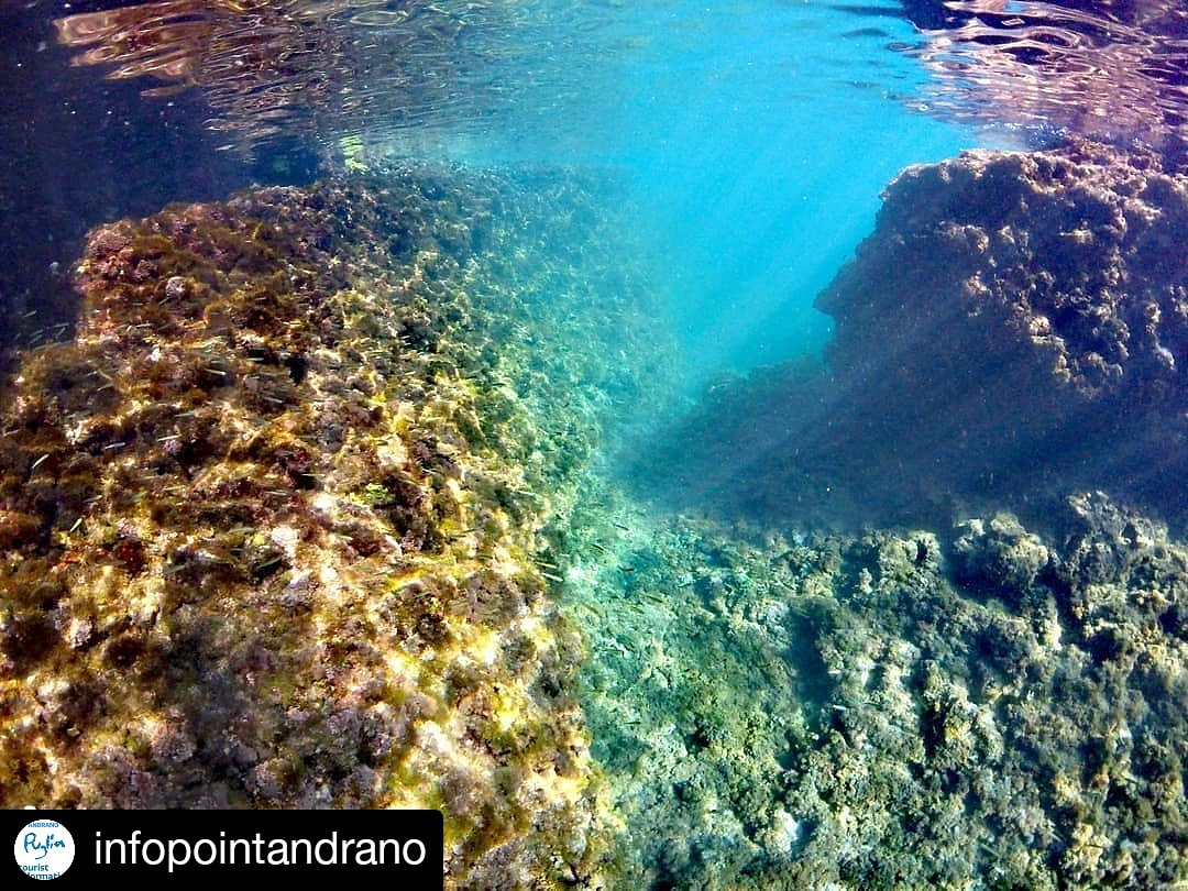 Info_iatAndrano's tweet photo. Buon weekend da Marina di Andrano🏖️🌊📸🌞

#weareinpuglia #Andrano #Estate2020 https://t.co/4lrikJ1ft7