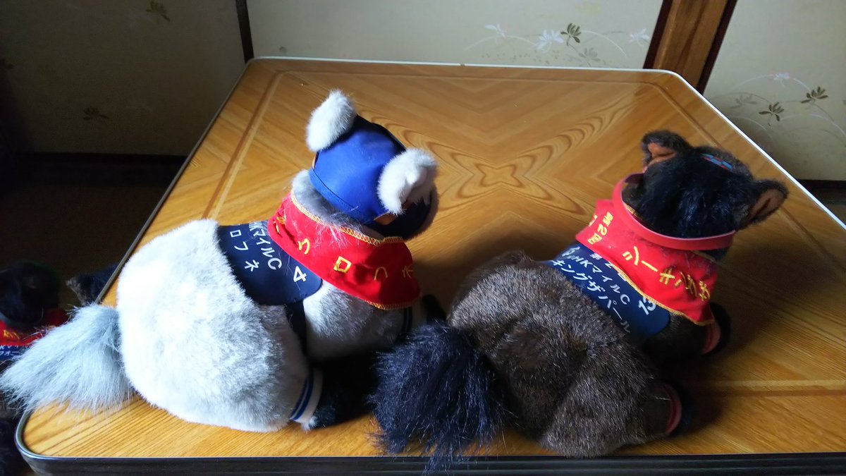 希少]クロフネ ぬいぐるみ 第6回NHKマイルカップ 希少]クロフネ