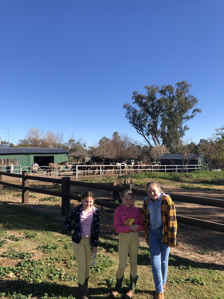 Newy Traveller tweet media