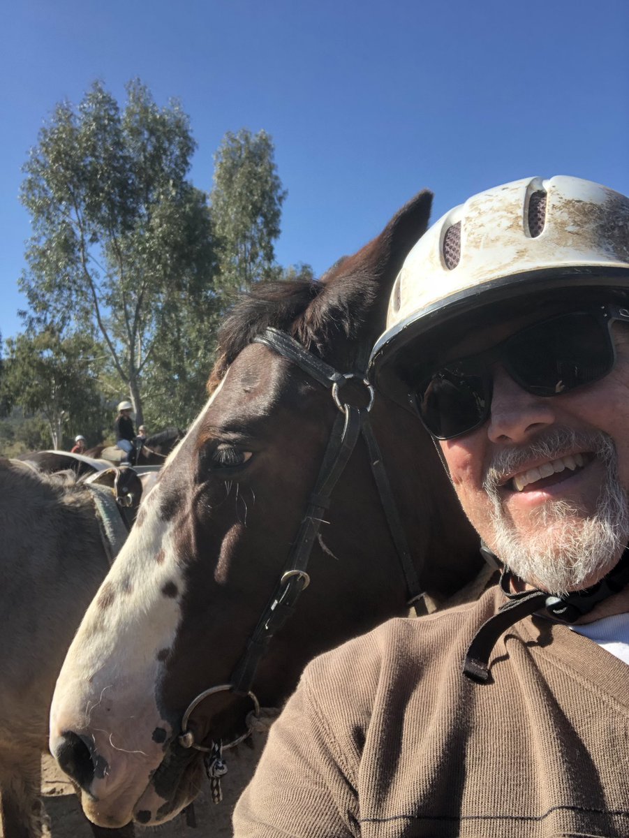 Newy Traveller tweet media