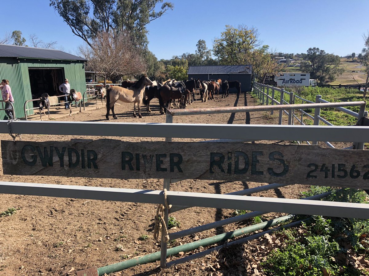 Newy Traveller tweet media