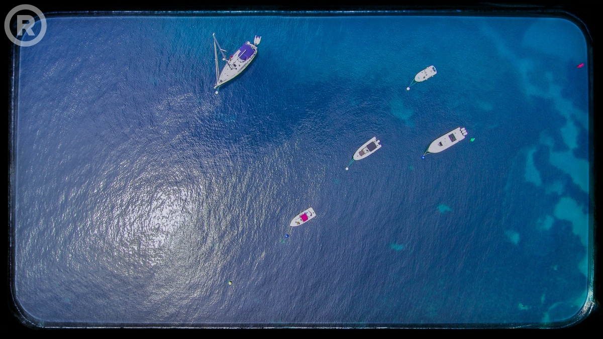 VisitRoses's tweet photo. Bon cap de setmana! ¡Buen fin de semana! Bon week-end! Enjoy your weekend! Geniesse dein Wochenende! Fijn weekend! Goditi il weekend! 🚤

© Óscar Domínguez Bollo ➡ Festival Drons N Roses!

@costabrava @badiaderoses @catexperience @AjRoses @Cami_de_Ronda @Aempordaturisme https://t.co/YKIuLx37LM