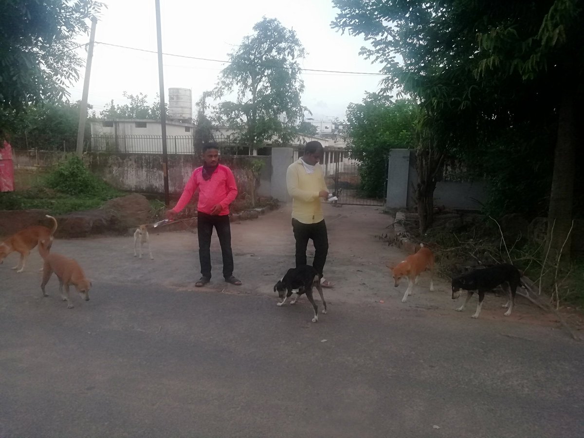 ArtofAid2's tweet photo. Feeding Dogs and Monkeys at Sikharchandi  in bhubaneswar. Odisha. 
Date:30/06/20 https://t.co/Xq34HS7EvD