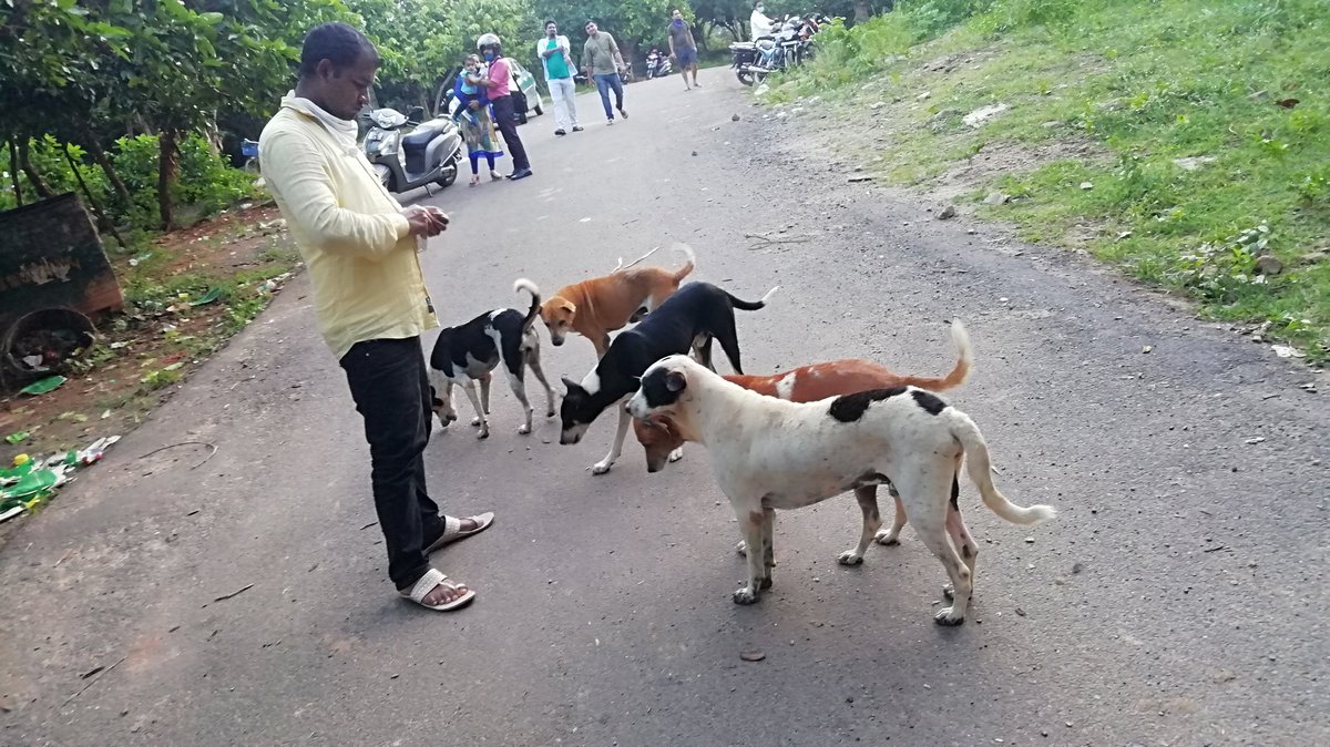 ArtofAid2's tweet photo. Feeding Dogs and Monkeys at Sikharchandi  in bhubaneswar. Odisha. 
Date:30/06/20 https://t.co/Xq34HS7EvD