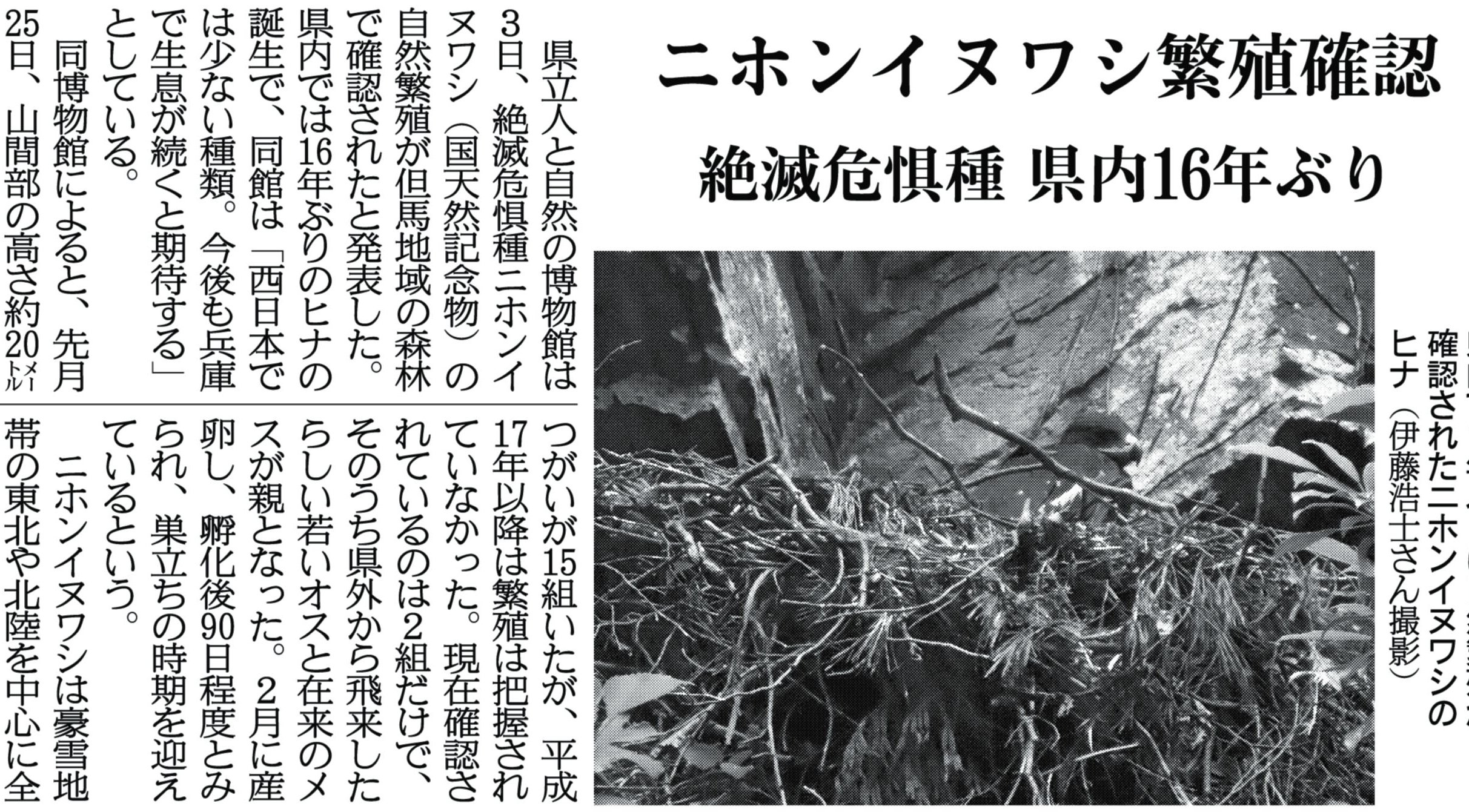 ヒナ誕生 Twitter Search Twitter