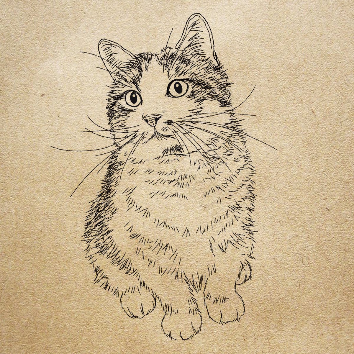 ট ইট র 猫好きイラストレーター 365cat Art 7月3日 昨日 イラスト間違えたにゃ 今日の 猫フリーイラスト 猫の イラスト オーダー T Co 1lhrrxj5af 猫カレンダー 猫好きさんと繋がりたい 猫 ねこ 猫似顔絵 猫イラスト 猫