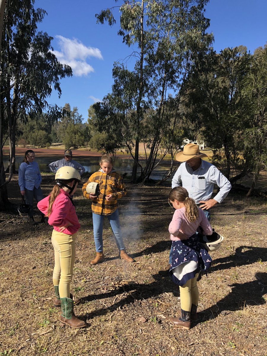 Newy Traveller tweet media