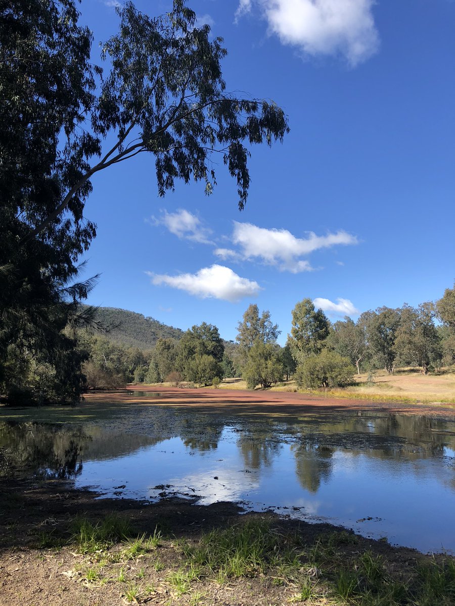 Newy Traveller tweet media