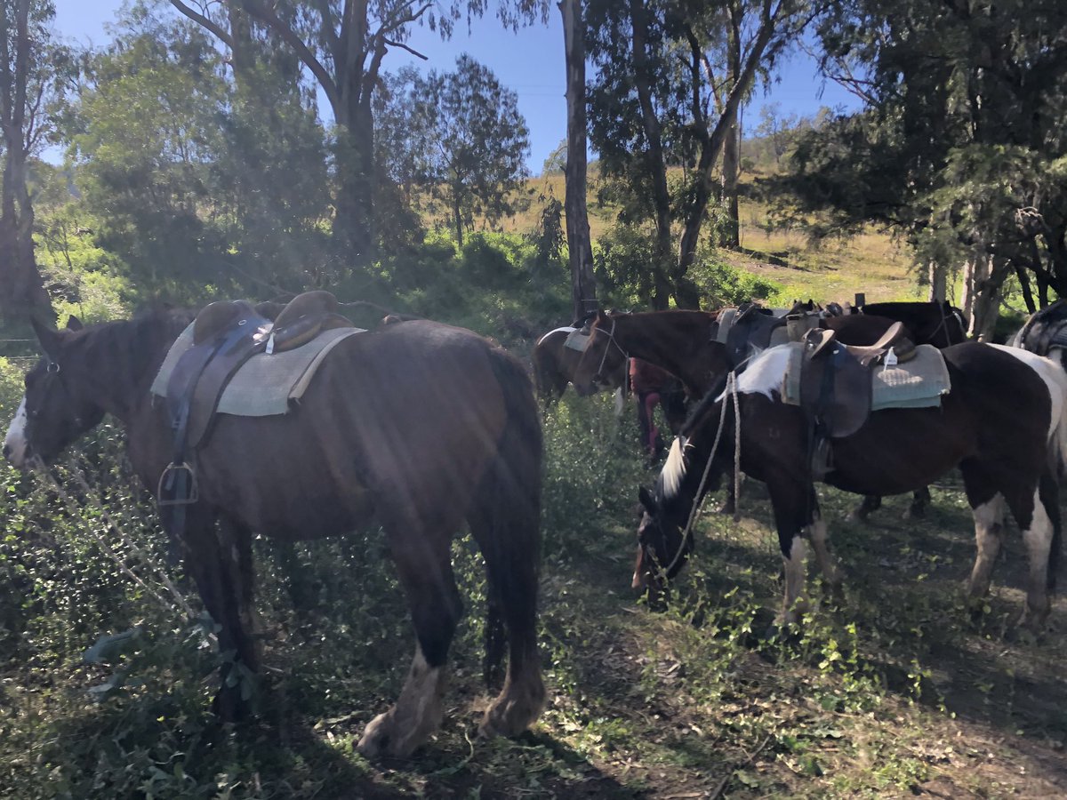 Newy Traveller tweet media