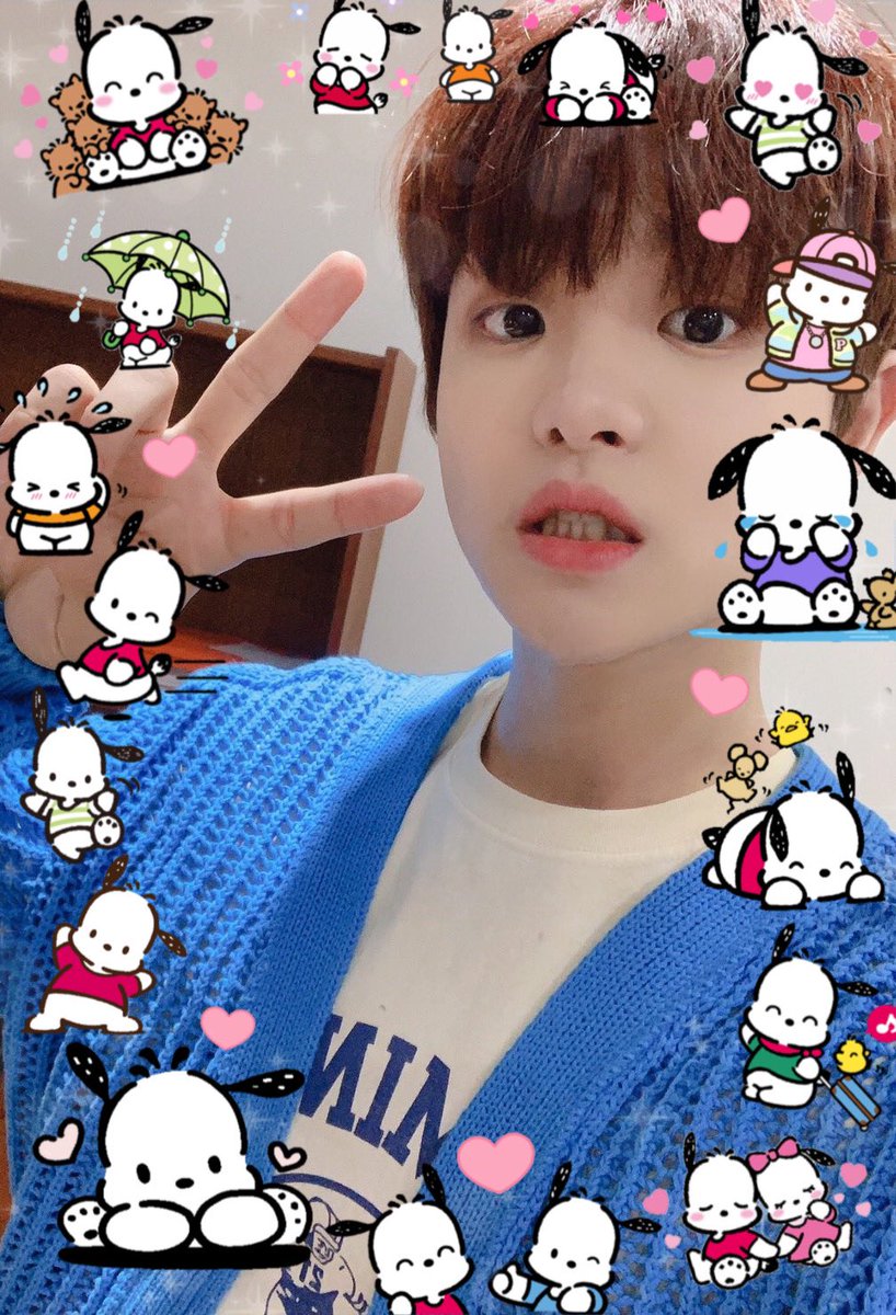 jihoon as pochacco