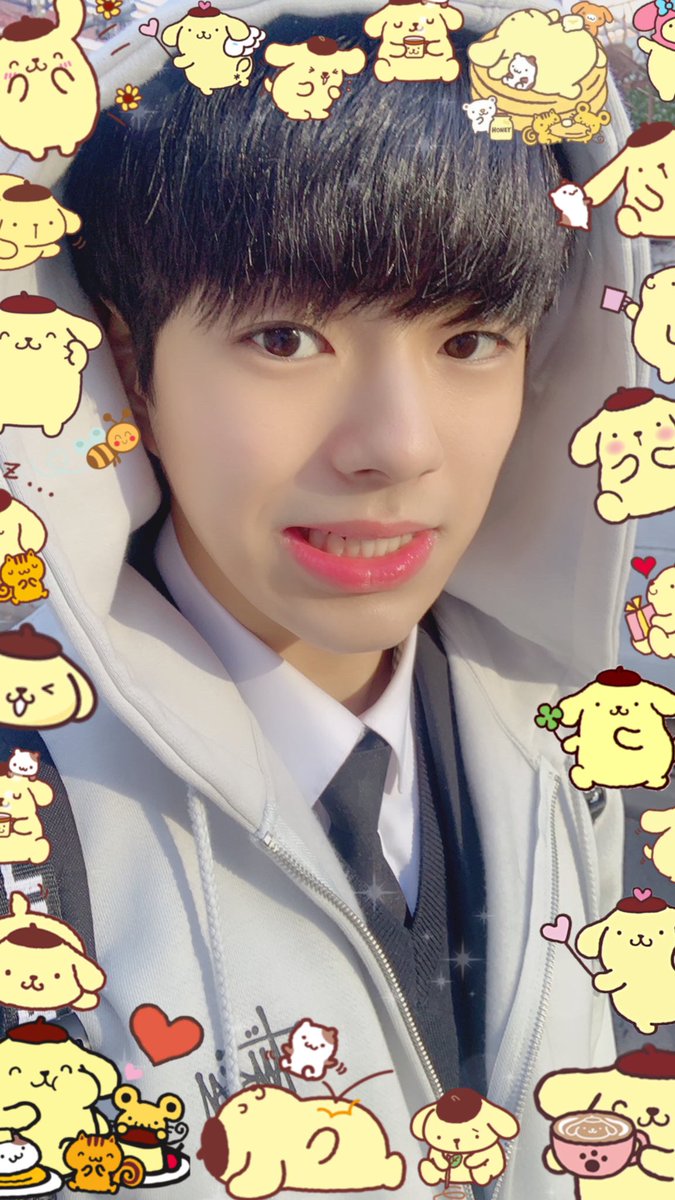 jaehyuk as pomponpurin