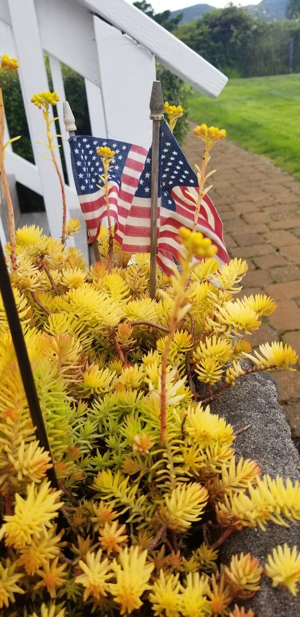 Today marks our 42nd year in business! We thank our clients, staff members, and strategic partners who have been part of this journey with us. All our best to everyone for a happy and safe Independence Day Weekend!