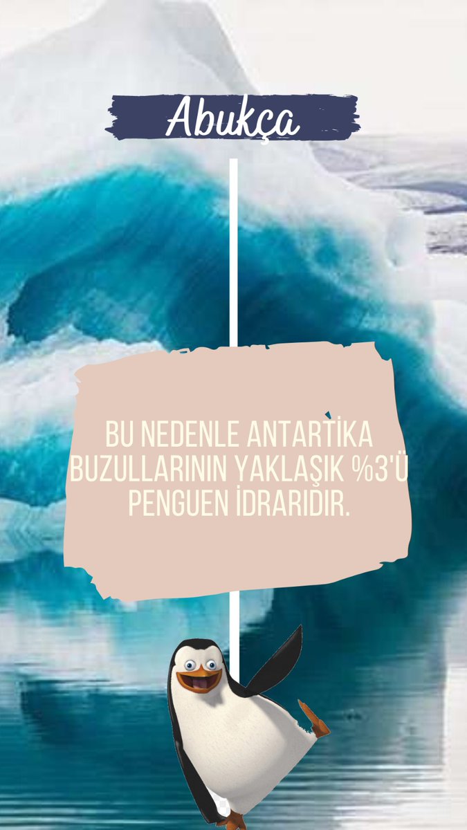 abukcaa's tweet photo. Penguenciim oldu mu şimdi? https://t.co/Qeg8LvsaXe