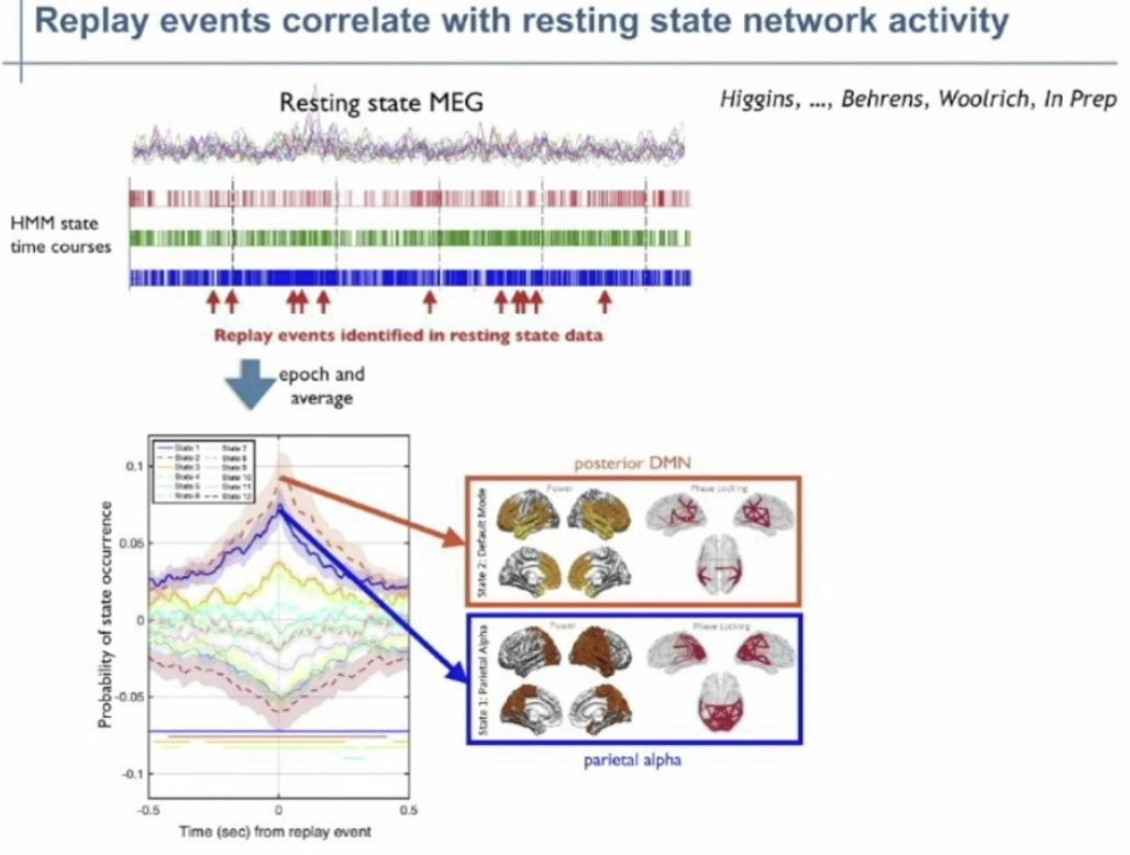 danilobzdok's tweet photo. Crystal-clear @OHBM keynote by @markwoolrich, with an impressive body of work showcasing careful time-series modeling.
My fav part: #defaultmode network probably related to #hippocampal sharpe-ripple waves
...a possibility we have speculated about here: https://t.co/uqua3EkkkK https://t.co/PBuCZgvIT4