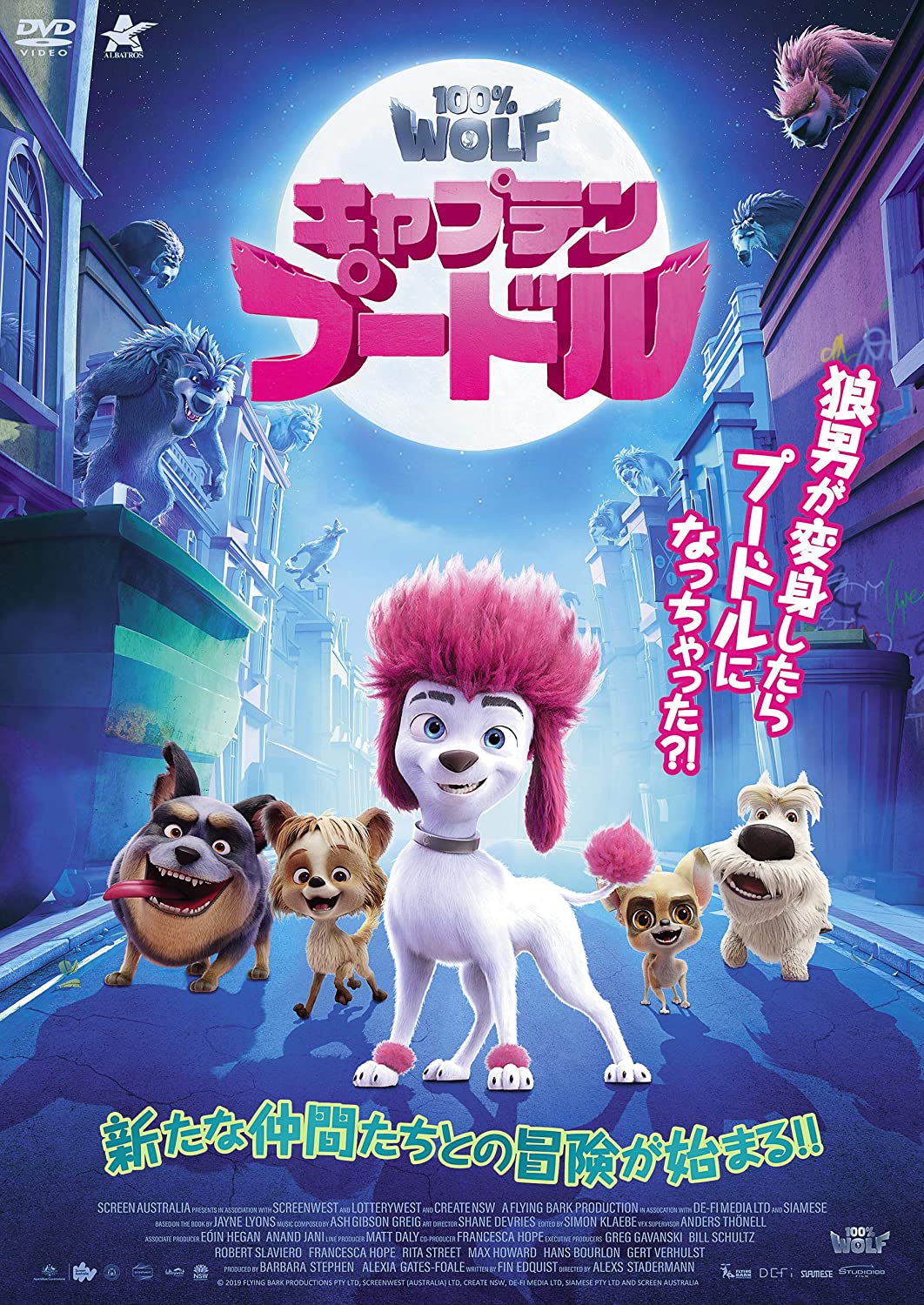 ネジムラ 昨日よりディスクリリース 配信開始のオーストラリアアニメ映画 キャプテンプードル 良作 なぜかプードルに変身してしまう狼男一族の少年が主人公 狼男達が人命救助活動をしていたり なぜか犬達と対立していたりと前提に謎も多いけど