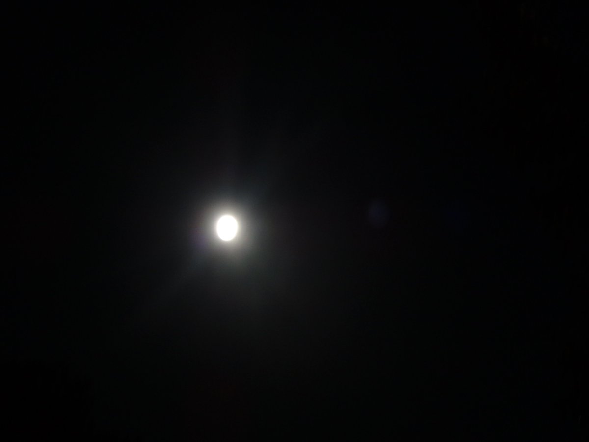 tfinferno86's tweet photo. The sound of fireworks will soon be replaced by echoes of bone crunches and moans becoming growls.

Soon. 

#FullMoonIsComing #TFEveryday https://t.co/hRelhlmGe3