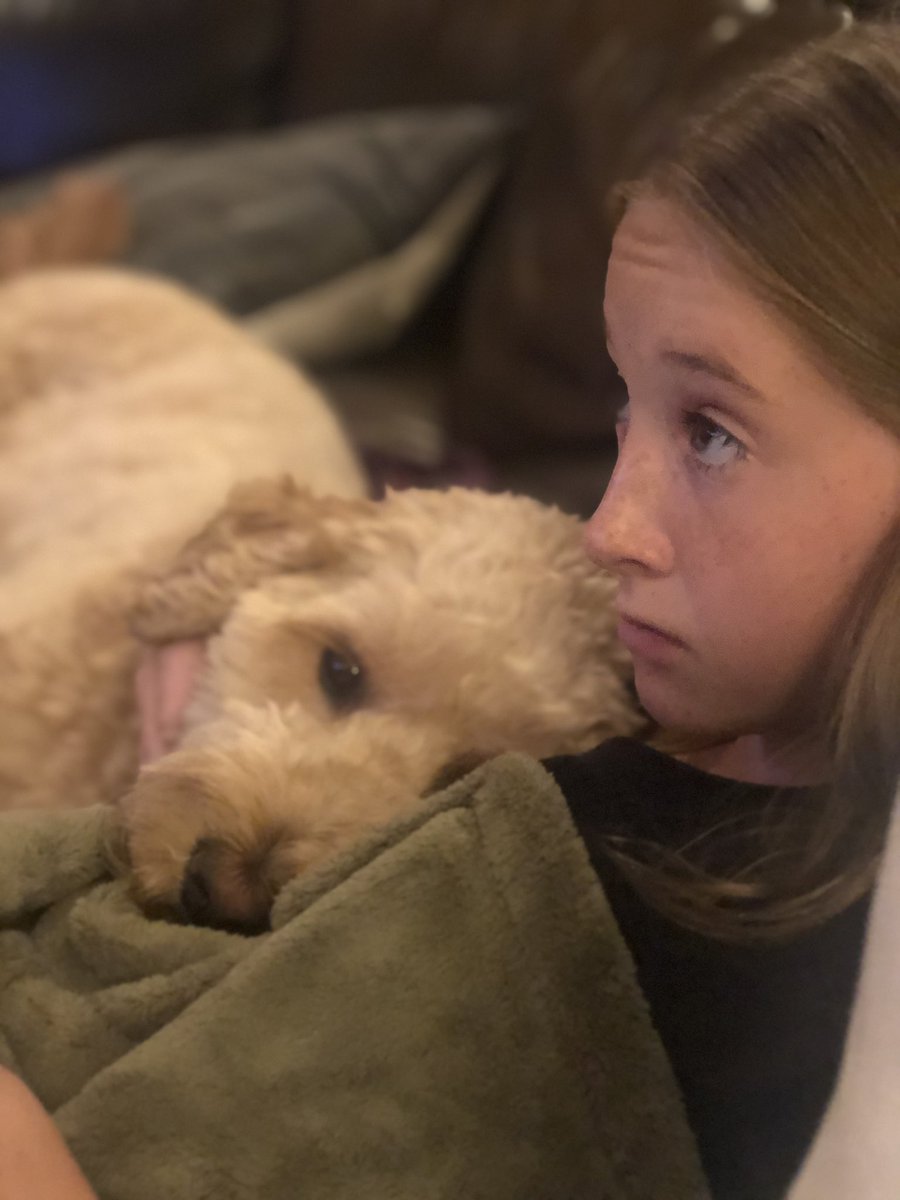 pmoreilly's tweet photo. These kids are loving #hamifilm thank you @disneyplus and @Lin_Manuel https://t.co/XWUPO8osG0