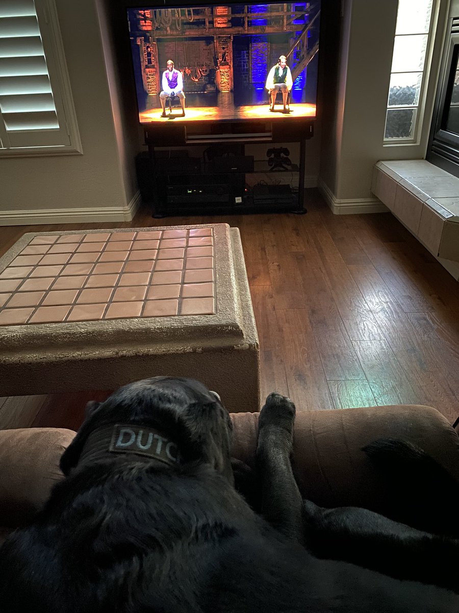 k9_dutch's tweet photo. ๐ถ; Wow! Hamilton is great!
๐ฎ๐ปโโ๏ธ: Okay...Iโm glad you liked it. Not something I thought youโd like...
๐ถ: Why do you assume Iโm not cultured...
๐ฎ๐ปโโ๏ธ: I just didnโt think the music was your thing. I stand corrected.
#labradork #hamilton https://t.co/pDOZ2gOGcH