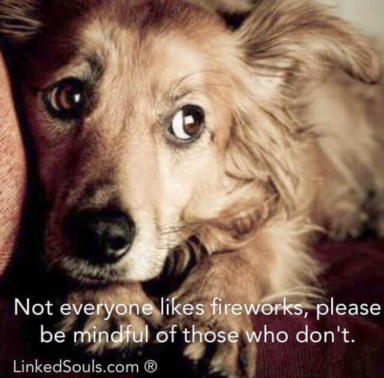 LinkedSouls's tweet image. Be kind. Be safe. Enjoy.